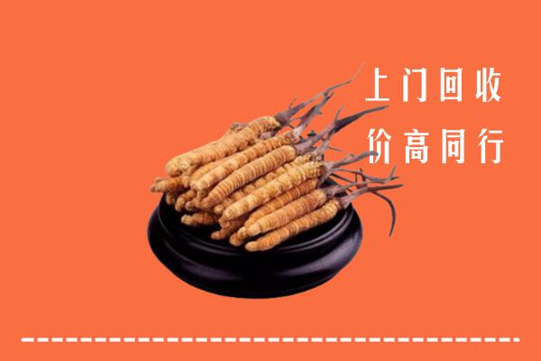 高价求购：池州回收散虫草