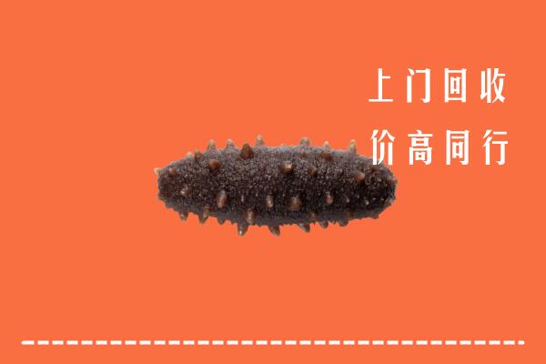 高价求购：池州回收海参